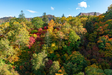 北海道の秋の風景　札幌市の紅葉