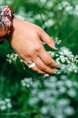 Beautiful female hand on a background of wildflowers. Hand in flowers.