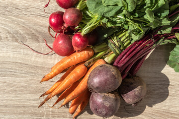 fresh organic carrots, beets and radishes on wooden table in Brazil