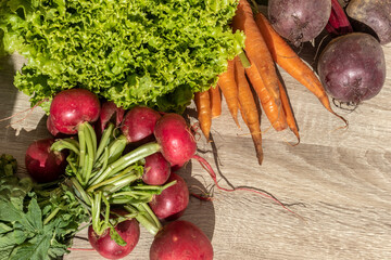 fresh organic carrots, beets, radishes and lettuce leaves on wooden table in Brazil