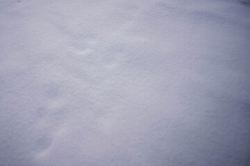 雪