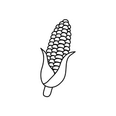 corn cob icon, line style