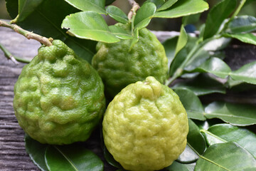 Obraz premium Kaffir limes on wooden table with natural blurred background.