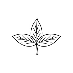 dry leaves icon, line style