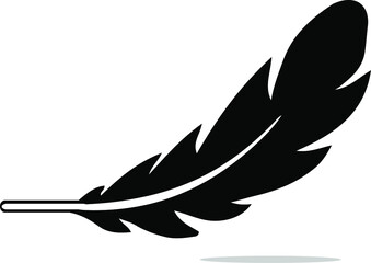 feather icon isolated on background