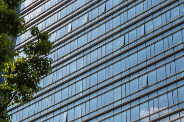 Fototapeta na wymiar green trees front of modern glass office building
