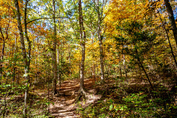 Blue Ridge Parkway