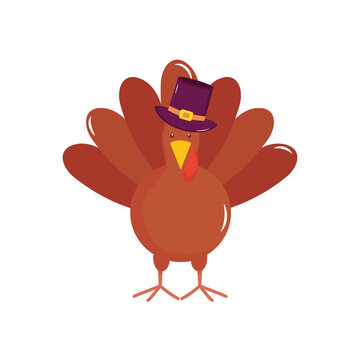 cartoon turkey with pilgrim hat, flat style