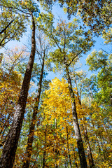 Blue Ridge Parkway Fall