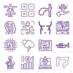 16 pack of anatomy  lineal web icons set
