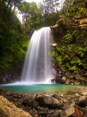 Obraz premium waterfall in the woods