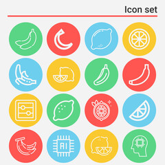 16 pack of peel  lineal web icons set