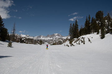 Skier on winter expedition