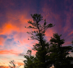 Midsummer sunset by the sea in New England.