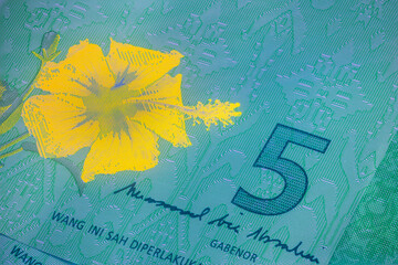 Macro photography of 5 Malaysian ringgit with fluor light. Extreme close-up of RM5 Malaysia. Sharp capture of the hibiscus on the banknote. The red flower gets glowing yellow under fluorescent light