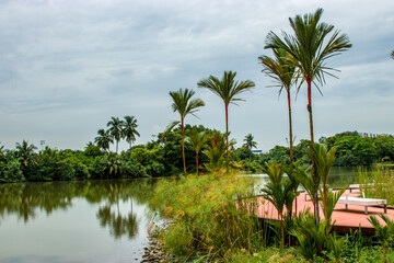 Fototapeta premium Singapore Oct 23rd 2020: Rasau Walk in Jurong Lake Gardens. A meandering boardwalk along the water’s edge, enables visitors to get up close with nature. 