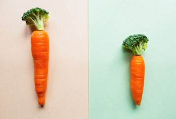 A flat lay shot of combination carrot and broccoli. Orange color carrot and green color broccoli. A...