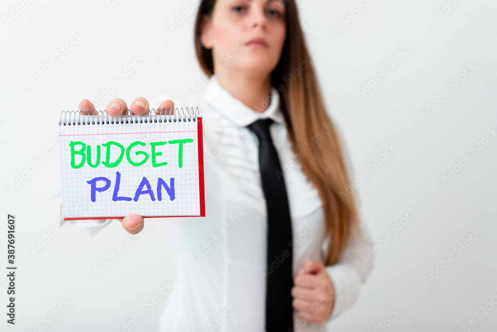 Poster text sign showing budget plan. business photo text financial schedule for a defined period of time u