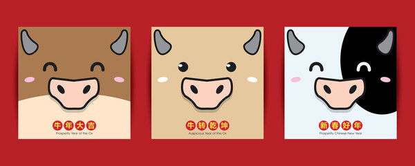 Set of 2021 Year of Ox greeting Illustration with cute cow/ox face. (Translation: Auspicious Year of the Ox, Prosperity Chinese New Year)