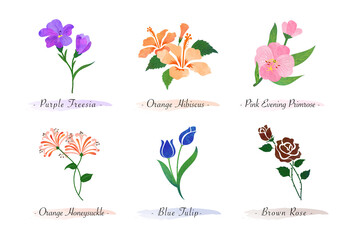 Watercolor botanic garden nature plant flower freesia hibiscus evening primrose honeysuckle tulip rose
