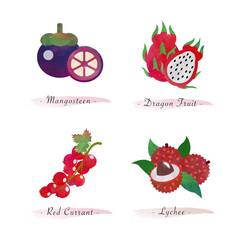 Organic nature healthy food fruit mangosteen dragon fruit red currant lychee