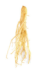 ginseng isolated on white background
