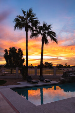 Palm trees at pool side during the colorful sunrise