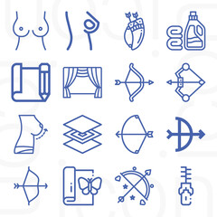 16 pack of silk  lineal web icons set