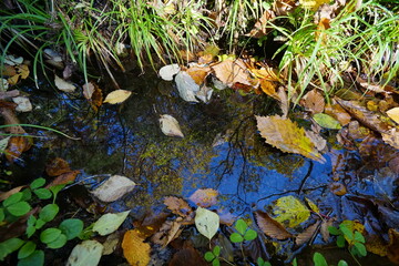 The sky and autumnal trees reflected in the waterway.