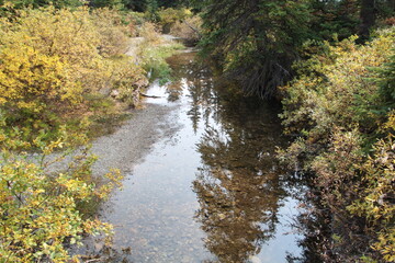 Reflections On The Creek, Banff National Park, Alberta