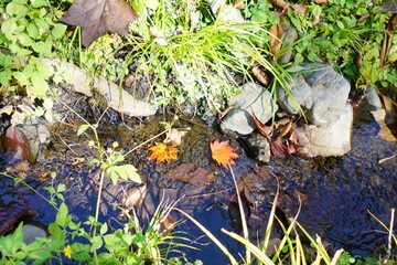 The sky and autumnal trees reflected in the waterway.
