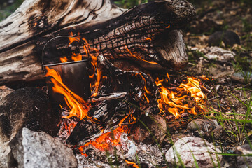 Kettle hanging over fire. Cooking food at fire in wild. Beautiful big log burns in bonfire...
