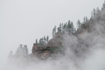Ghostly alpine view through low clouds to beautiful rockies. Dense fog among giant rocky mountains with trees on top. Atmospheric highland landscape. Big cliff in cloudy sky. Minimalist misty scenery.