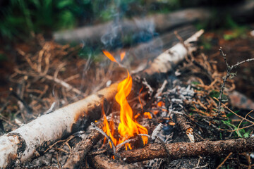 Burning branches and brushwood in fire close-up. Atmospheric warm background with orange flame of campfire and blue smoke. Beautiful full frame image of bonfire. Firewood burns in vivid flames.