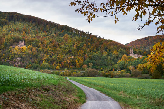 Schadeck and Hinterburg Castles Neckarsteinach Germany 