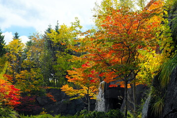 Obraz premium 岩肌と紅葉