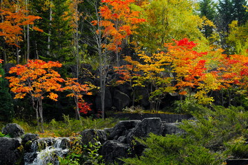 岩肌と紅葉
