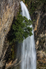 waterfall next to tree