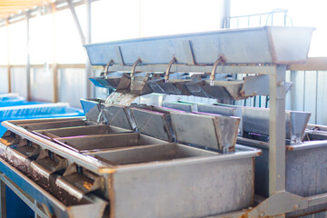 Fish egg hatchery. Baby eggs breeder for fish farms with tanks set for incubation of sturgeon roe...