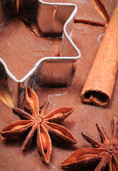 Cookie cutters and spices on dough for gingerbread or other festive cookies. Christmas time