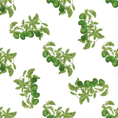 Branch of green avocado on a white background. Seamless pattern for kitchen or textile design, covers, napkins and wallpapers. Vector image.


