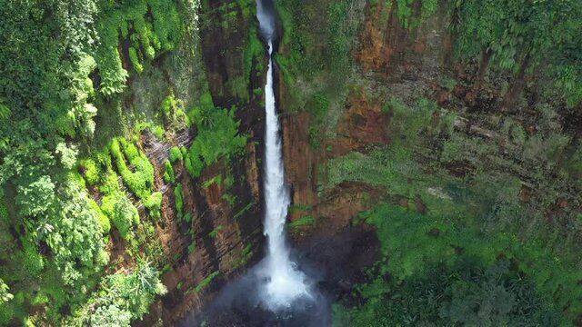 waterfall in the forest