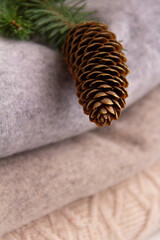 Woolen sweaters with spruce branch on white background