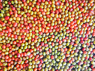 Variety of healthy grains and seeds in a wooden box