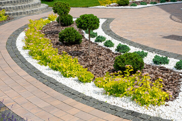 Landscape design. Design of the adjacent territory. Decorative thuja on a flower bed