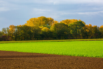 Felder im Herbst