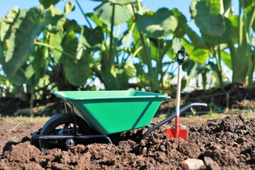 農業　イメージ