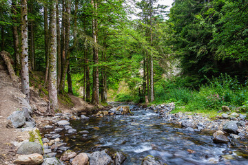 ruisseau 