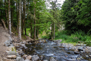 ruisseau 