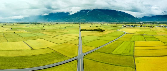Fotobehang Oranje Aerial view of Beautiful Rice Fields and  Mr. Brown Avenue at Chishang Township, Taitung County, Taiwan in autumn  © Tom Wang